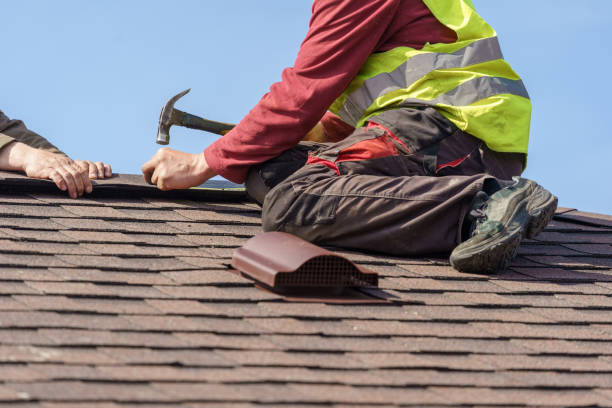 Best Metal Roofing Contractor  in Woodstock, IL