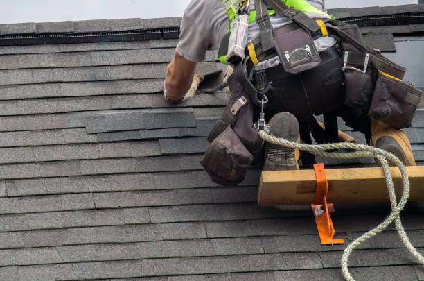 Roof Gutter Cleaning in Woodstock, IL