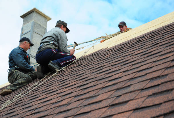 Best Flat Roof Repair Services  in Woodstock, IL